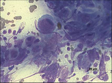 fig13.15.jpg