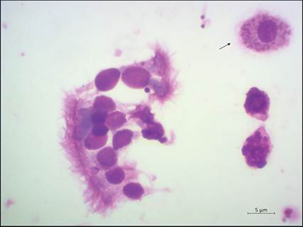 fig13.32.jpg