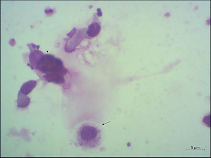 fig13.33.jpg