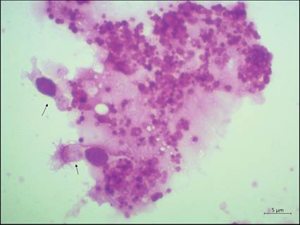 fig13.34.jpg