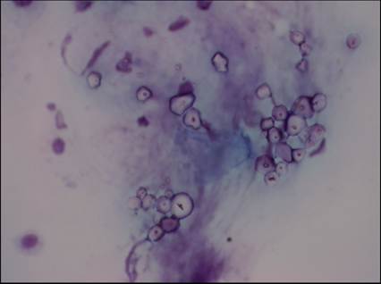 fig13.35.jpg