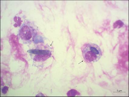fig13.36.jpg