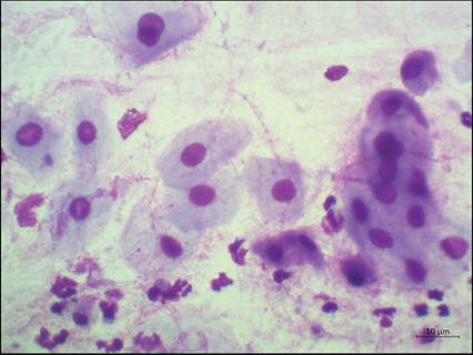 fig13.38.jpg