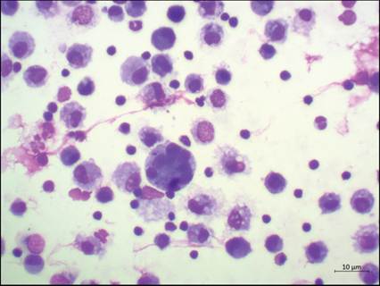 fig13.53.jpg