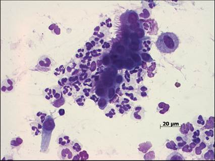 fig13.55.jpg