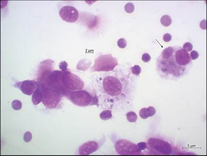 fig13.58.jpg