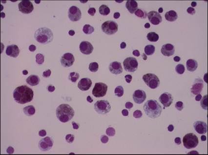 fig13.60.jpg