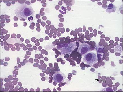 fig13.68.jpg