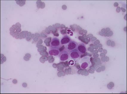 fig13.69.jpg