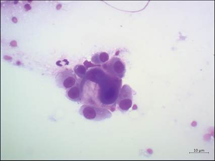 fig13.86.jpg