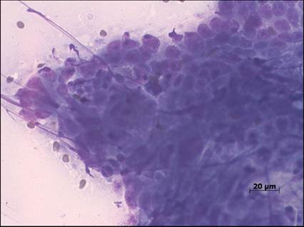 fig13.94.jpg