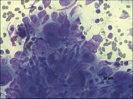 fig13.95.jpg