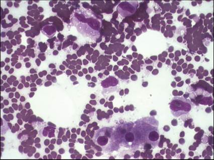 fig13.104.jpg