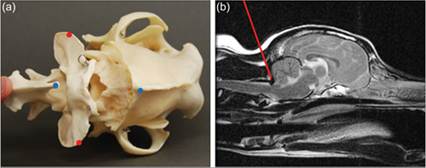 fig14.1A.jpg