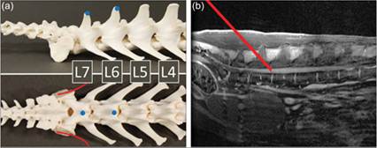 fig14.2A.jpg