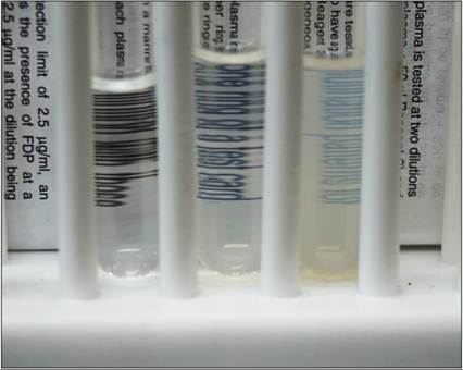 fig14.4.jpg