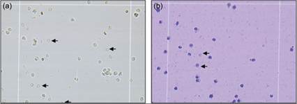 fig14.8A.jpg