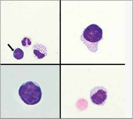 fig14.10.jpg