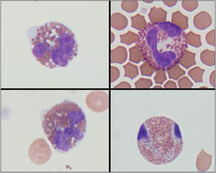 fig14.14.jpg