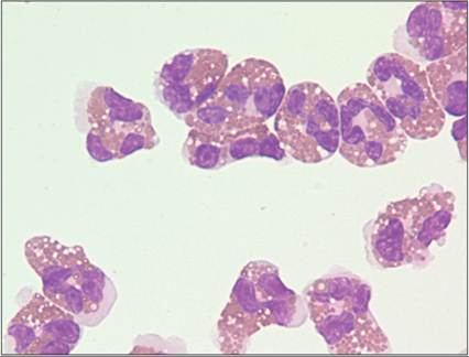 fig14.19.jpg