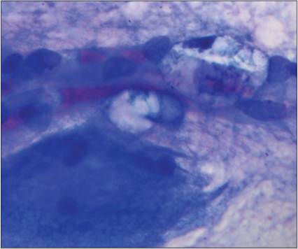 fig14.28.jpg