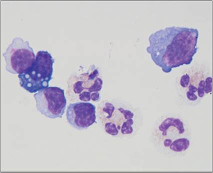 fig14.34.jpg