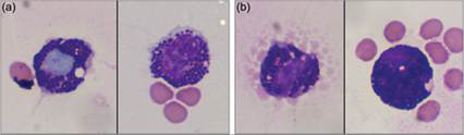 fig14.35A.jpg