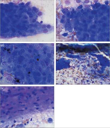 fig14.38A-E.jpg