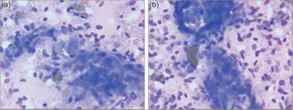 fig14.40A.jpg