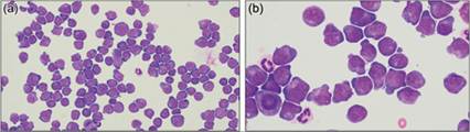 fig14.46A.jpg