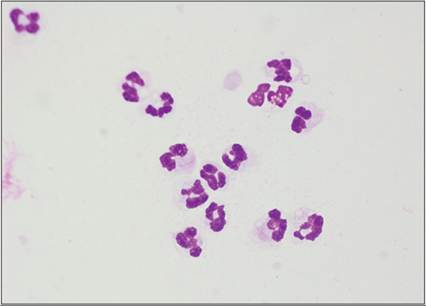fig15.1.jpg