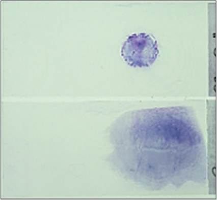 fig15.7.jpg