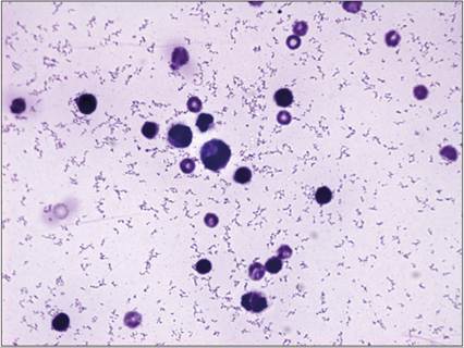 fig15.9.jpg