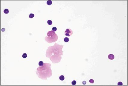 fig15.18.jpg