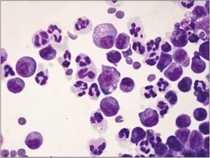 fig15.30.jpg