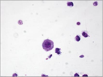 fig15.34.jpg