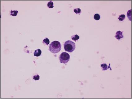 fig15.35.jpg