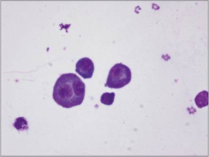 fig15.37.jpg