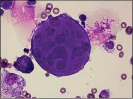 fig15.39.jpg