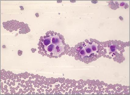 fig15.40.jpg