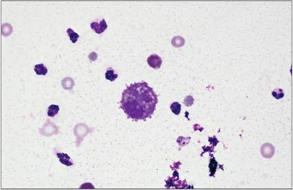 fig15.44.jpg