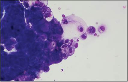 fig15.46.jpg