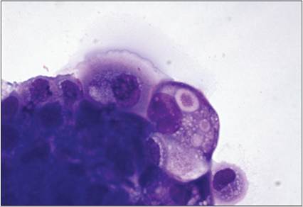 fig15.47.jpg