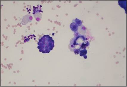 fig15.48.jpg