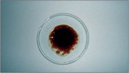 fig15.56.jpg
