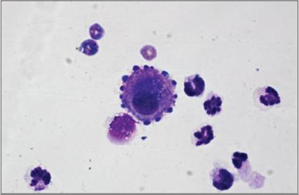 fig15.68.jpg