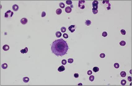 fig15.69.jpg