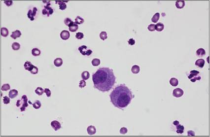 fig15.70.jpg