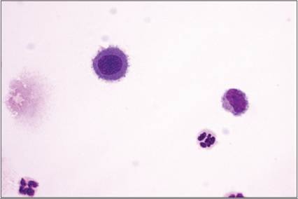 fig15.72.jpg