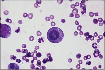 fig15.74.jpg